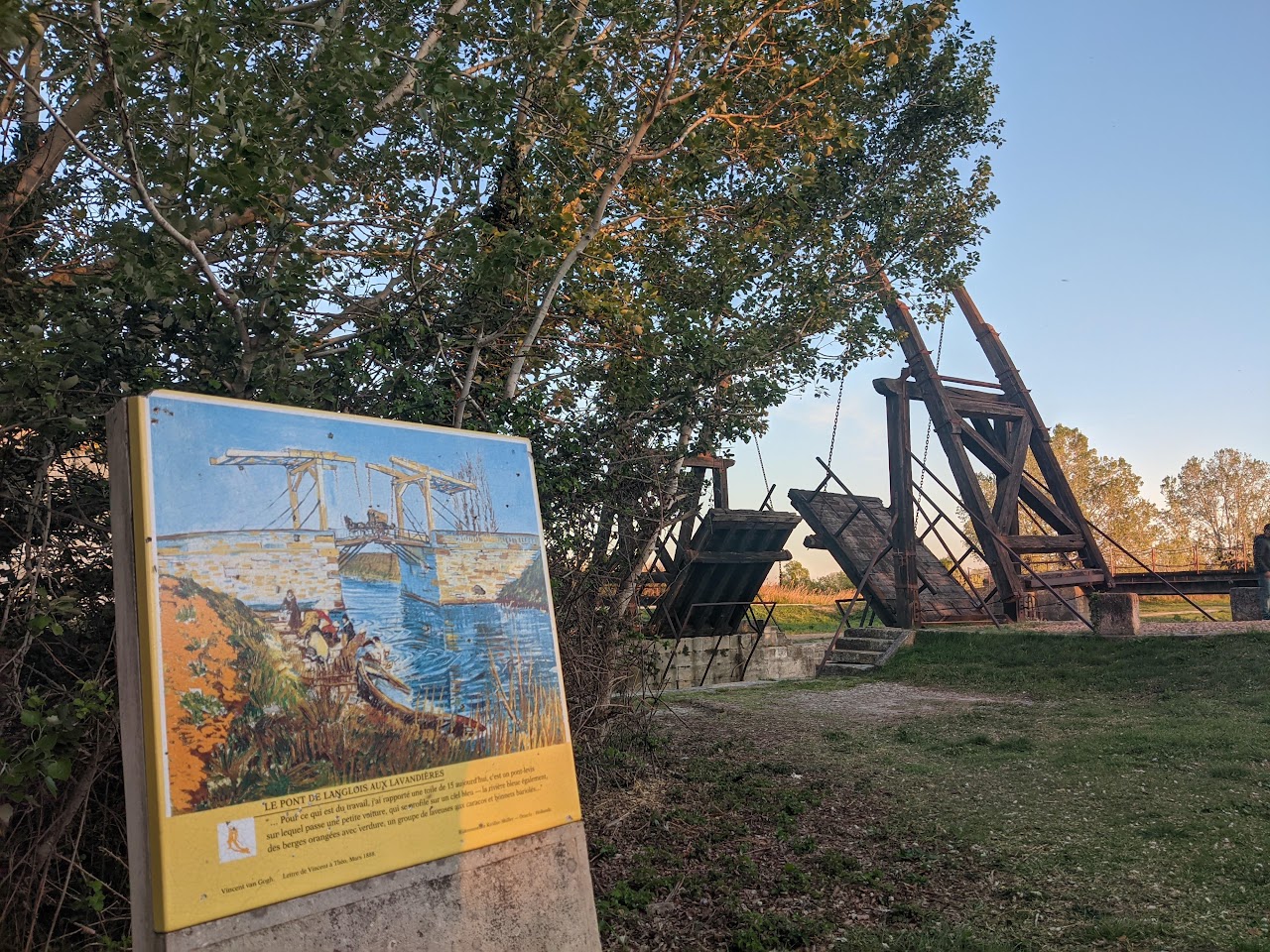 Камарг